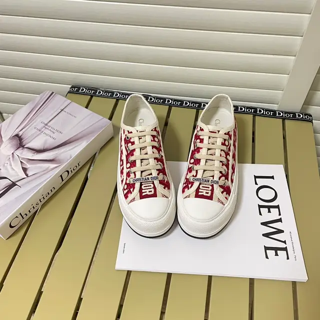 Dior Shoes