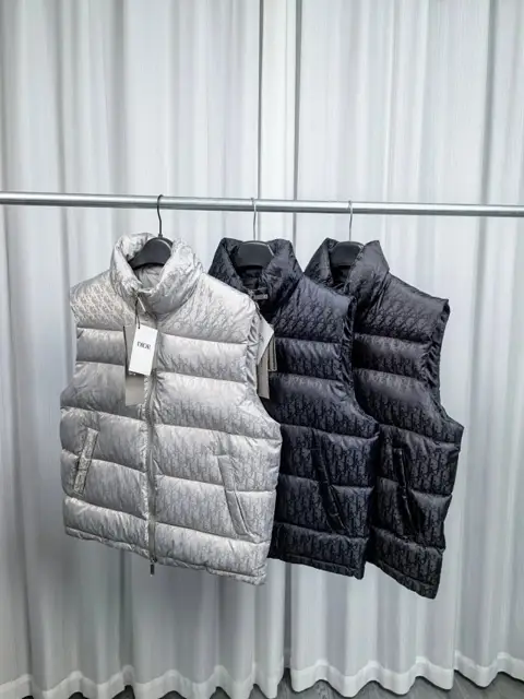 Dior Vest