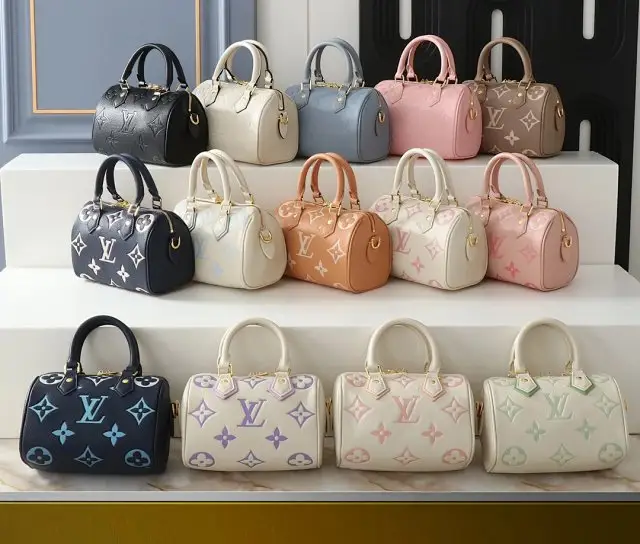 Louis Vuitton Bag