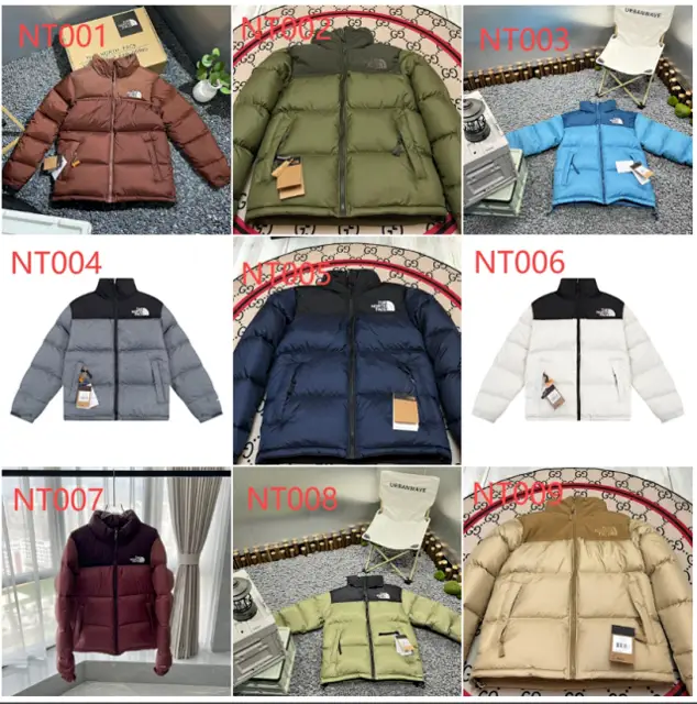 The North Face Down Jacket