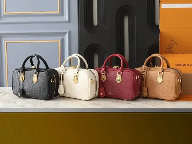 Louis Vuitton Bag