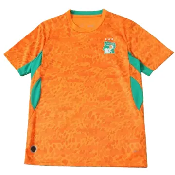 2627 Ivory Coast home Fan version