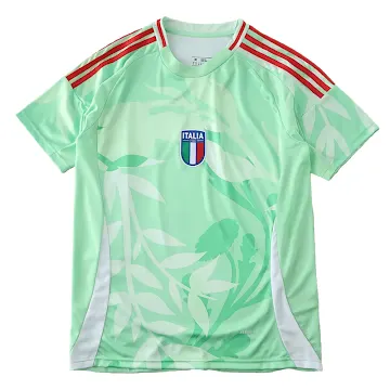 2526 season Italy away Fan version