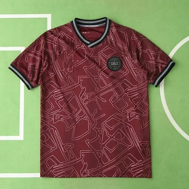 2425 season Denmark home Fan version