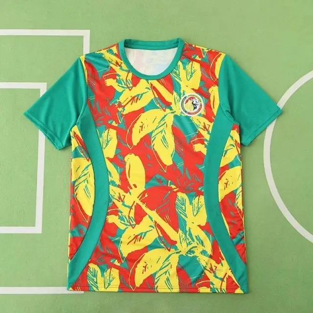2526 season Senegal Training clothes Fan version