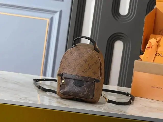 LV Backpack
