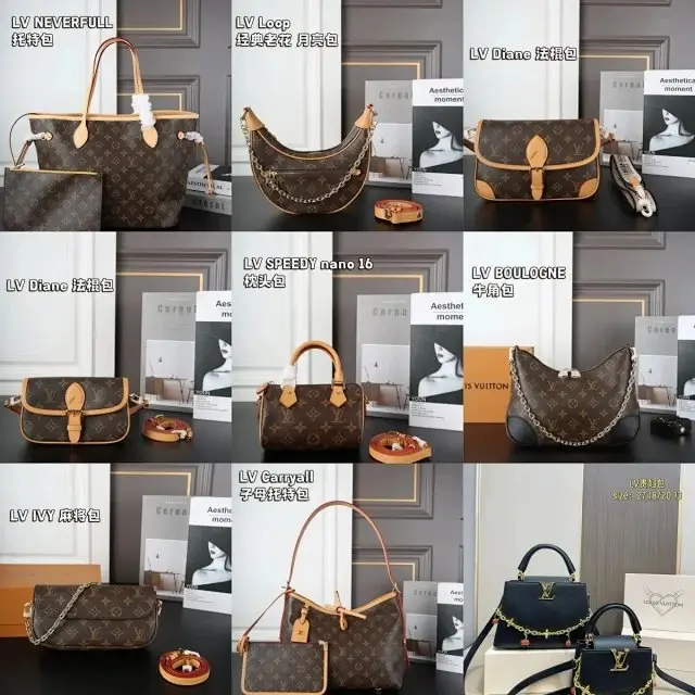 Louis Vuitton LV Bag 1
