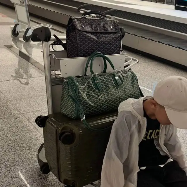 Goyard Travel Bag